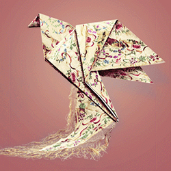 Banner 7