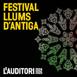 banner lateral Auditori