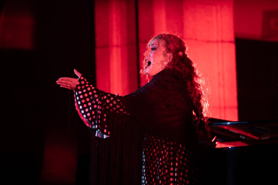 Gitana_VeranosVilla26_c.jpg