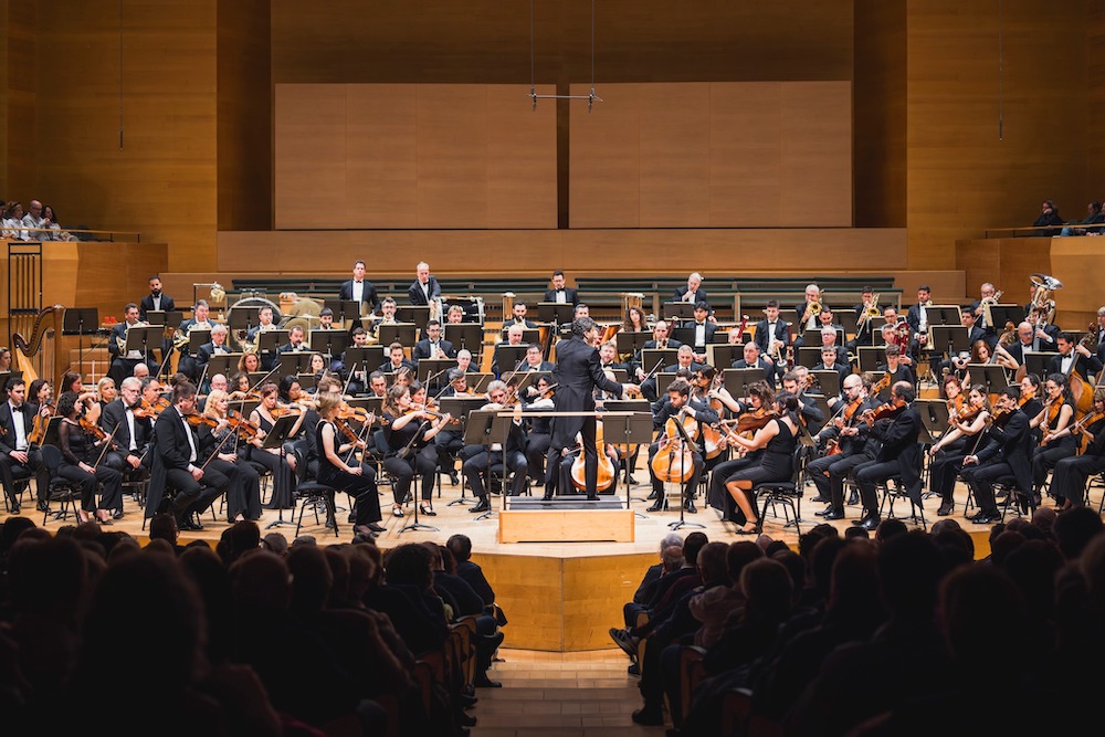 OCNE_auditori25_b.jpg