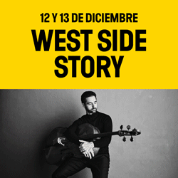 banner lateral Auditori