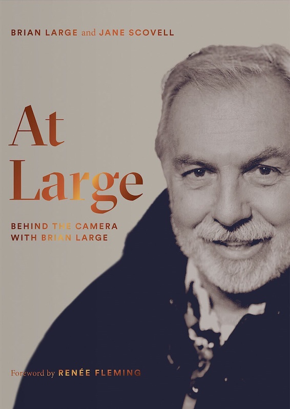 VFMK_At-Large_Cover.jpeg