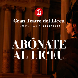 Banner lateral Liceu