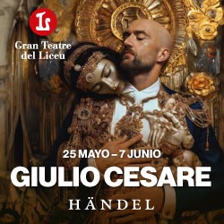 Banner lateral Liceu