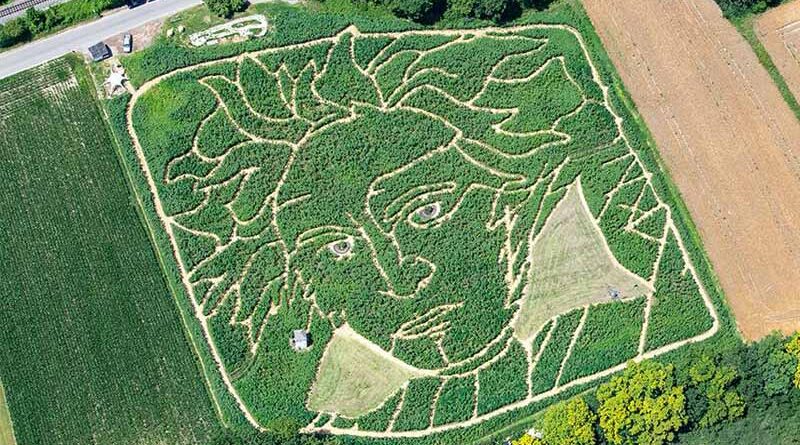 Beethoven portrait field