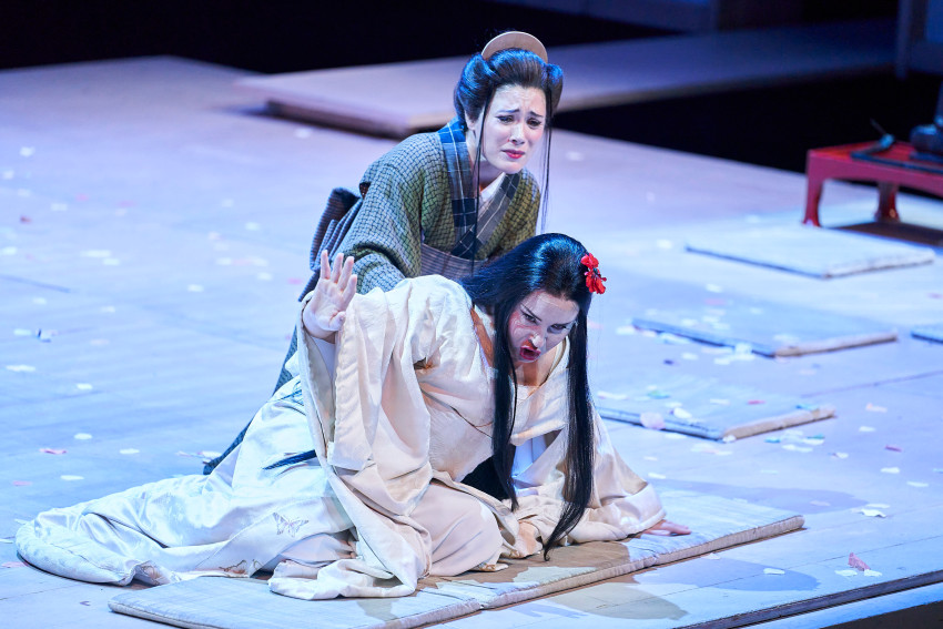 Butterfly Liceu 2 241