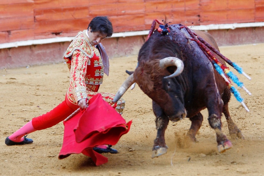 VICENTE BARRERA vox cultura valencia