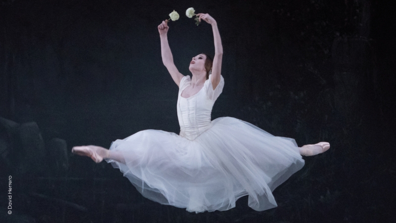 ballet du capitole toulouse