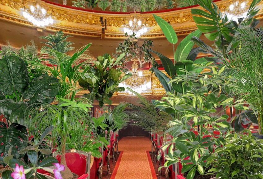 liceu bioceno plantas 1