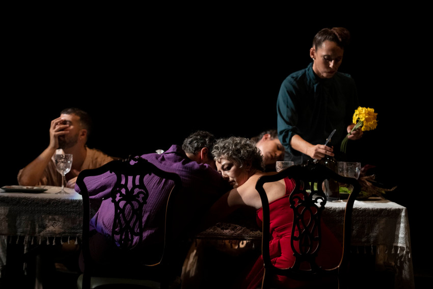 Helena Martín dirige "Los Narciso" en los Teatros del Canal