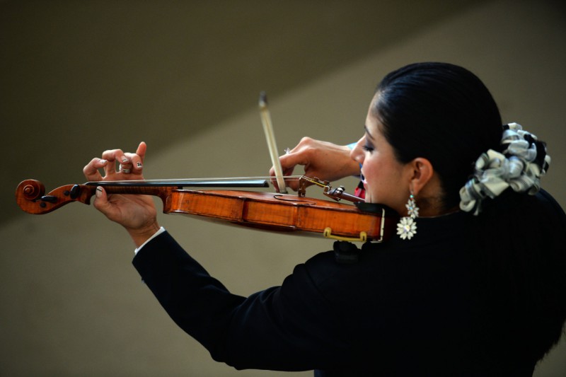 violinista laurence griffiths