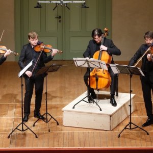 Conciertos de cámara en la Schubertíada de Hohenems