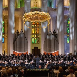 Doble cita con la Filarmónica de Berlín en Barcelona, con conciertos en la Sagrada Familia y el Palau de la Música