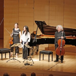 Conciertos de cámara en la Schubertíada de Schwarzenberg