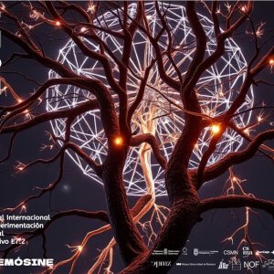 El Festival After Cage presenta 'Millenials, escena radiofónica', de Carolina Cerezo