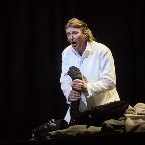 'Lohengrin, un canto del cisne wagneriano'