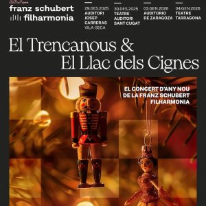 La Franz Schubert Filharmonia despide el año con música de Chaikovski