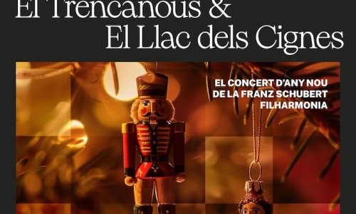 La Franz Schubert Filharmonia despide el año con música de Chaikovski