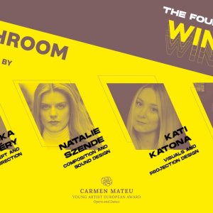 'A Bathroom Opera¡ es el proyecto ganador de la IV edición del Carmen Mateu Young Artist European Award