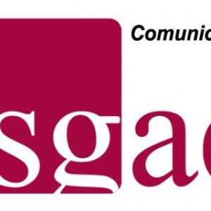 La SGAE recurrirá la decisión del Ministerio de Cultura de autorizar la licencia de gestión a SEDA